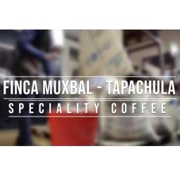 finca muxbal mexico